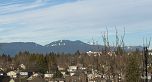 803 8555 Granville Street