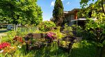 3446 William Street