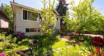 3446 William Street