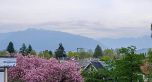 5593 Fleming Street
