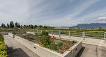 303 3595 W 18th Avenue