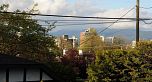 1775 Cedar Crescent