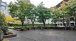2304 183 Keefer Place