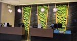 1800 433 Robson Street