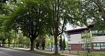 1166 E 16th Avenue