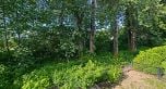 39 45085 Wolfe Road