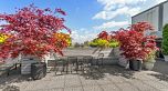 724 1445 Marpole Avenue
