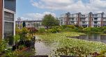 1596 Island Park Walk