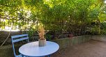 102 2588 Alder Street