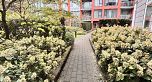 302 3263 Pierview Crescent