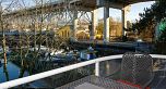 302 1502 Island Park Walk