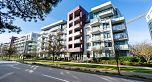 217 5033 Cambie Street