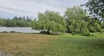 3868 Victoria Drive