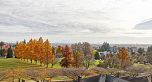 408 7638 Cambie Street