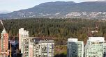 PH 1 1500 Alberni Street