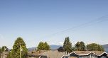1557 Larch Street