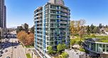 807 8238 Lord Street