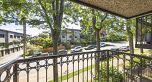 1557 Larch Street