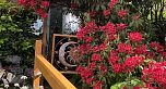 102 1530 Mariner Walk