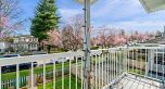 3524 Tanner Street