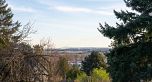 2321 Harrison Drive