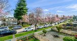 3524 Tanner Street