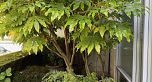 410 Beach Crescent