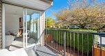 205 3199 Willow Street