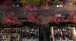 W4 1070 W 7th Avenue