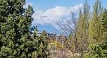 509 4867 Cambie Street