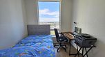 1308 8238 Lord Street