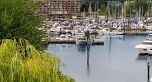 405 1502 Island Park Walk