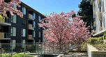 609 7428 Alberta Street