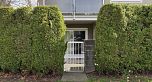 102 3008 Willow Street