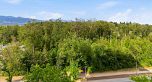 1002 5410 Shortcut Road