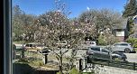 1544 W 68th Avenue