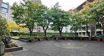 2304 183 Keefer Place