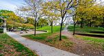 806 58 Keefer Place