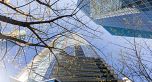 1804 1111 Alberni Street