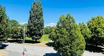 302 2288 Newport Avenue