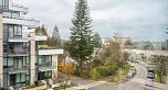301 505 W 30th Avenue