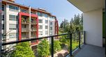 523 3563 Ross Drive