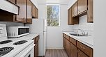 203 1250 Burnaby Street