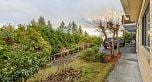 556 Ballantree Road