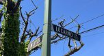 4399 Locarno Crescent