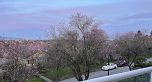 3655 Quesnel Drive