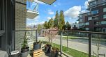 204 4675 Cambie Street