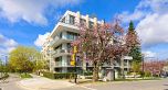 204 4675 Cambie Street