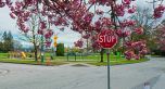 411 5733 Alberta Street