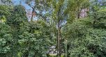 3396 Cobblestone Avenue